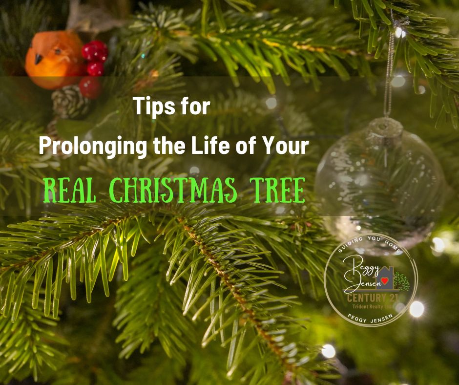 Prolong the Life of your Real Christmas Tree