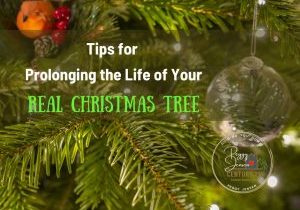 Prolong the Life of your Real Christmas Tree